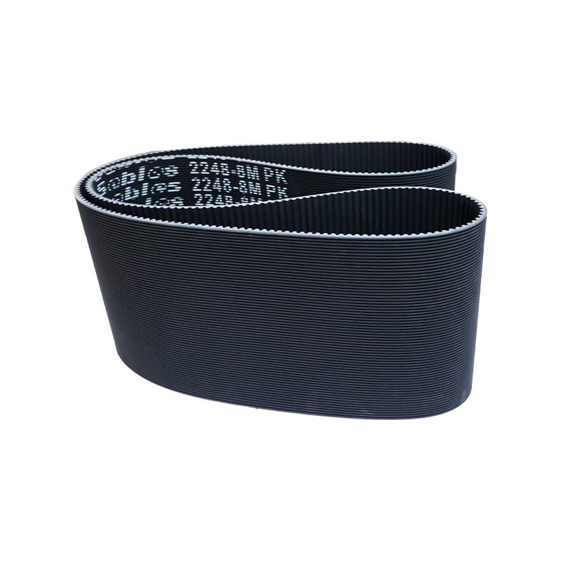 May Ngipin At May Ribbed Belt